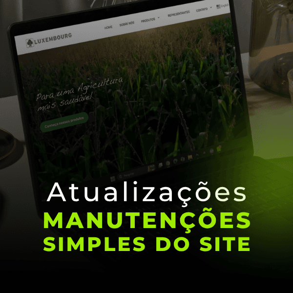 Atualizações e Manutenção Simples do Site